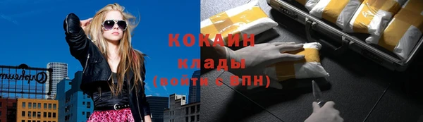 крисы Арсеньев