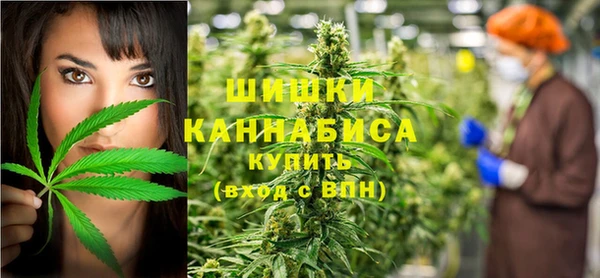 крисы Арсеньев