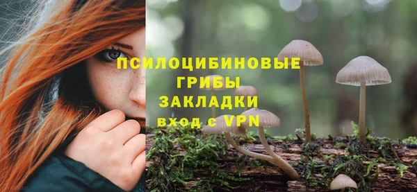 таблы Армянск