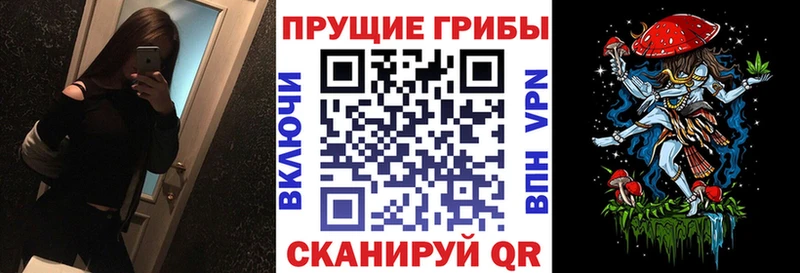 МЕГА зеркало  Можга  Псилоцибиновые грибы мицелий 